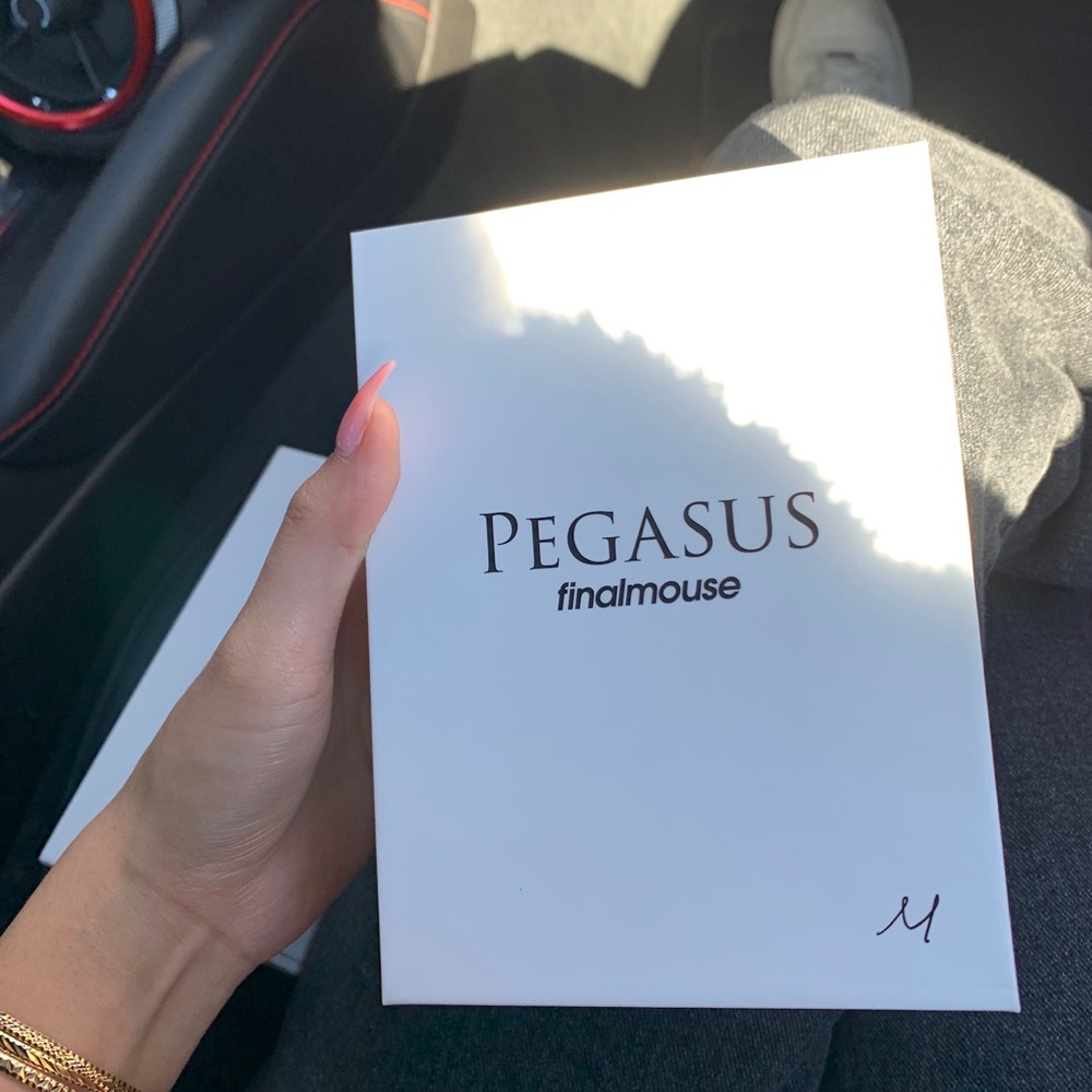 Finalmouse In Hand -STARLIGHT-12 PEGASUS Medium Finalcon ‘21 Limited E, 5000 PC